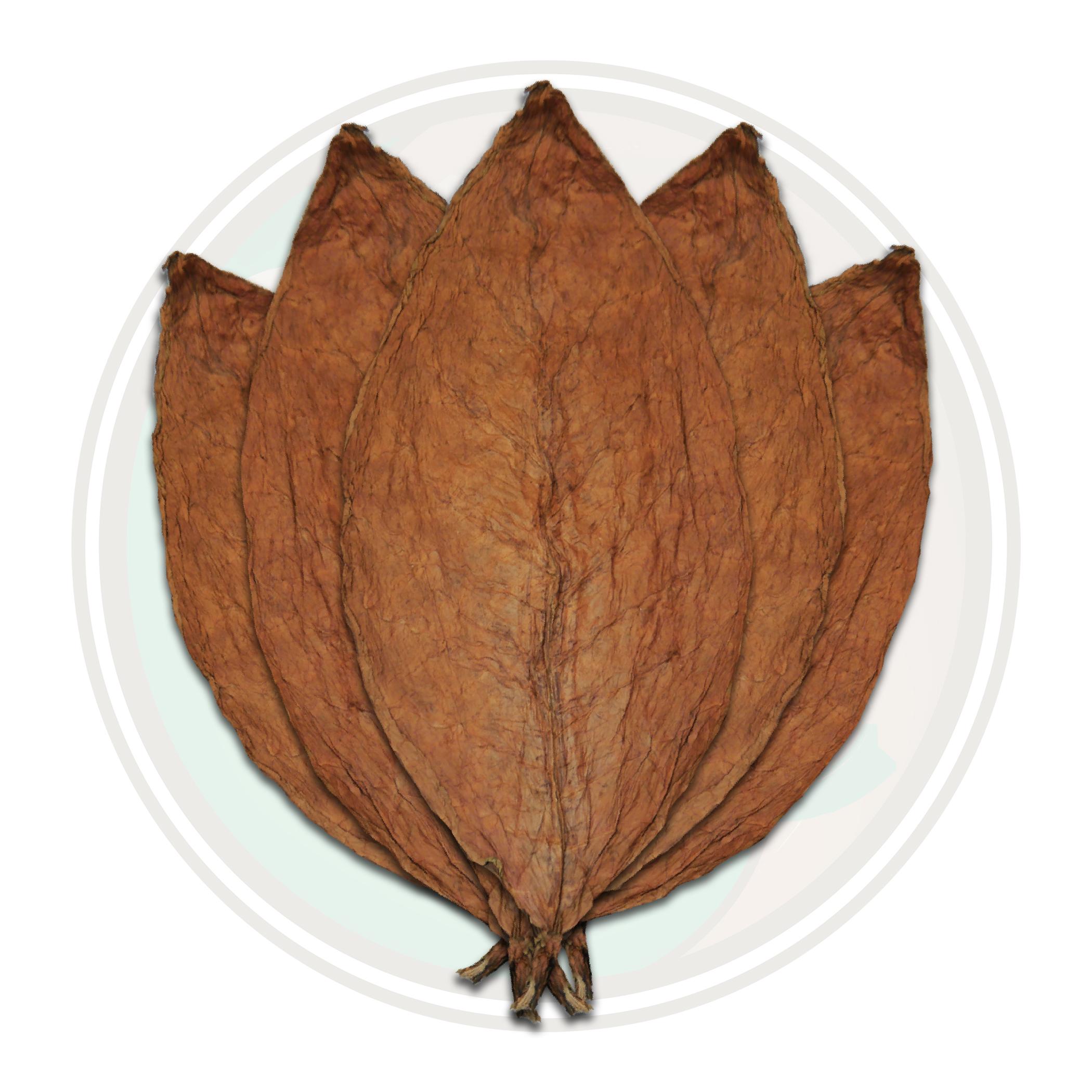 Honduran Conerico Seco Cigar Wrapper Whole Tobacco Leaf